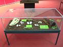 VIVARIUM Krokodil Artenschutz-Ausstellung6